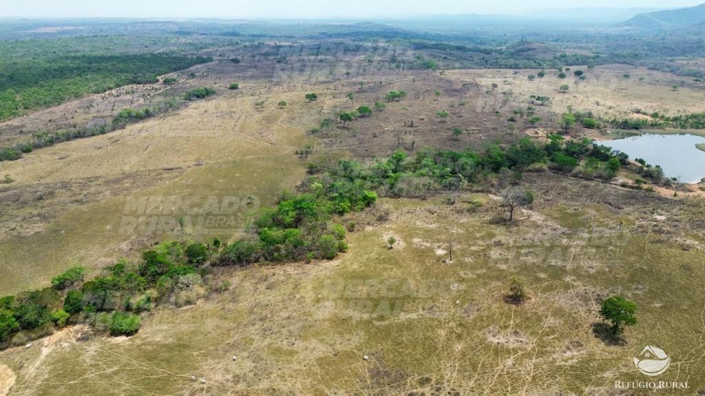 Fazenda à venda com 1 quarto, 15900000m² - Foto 9