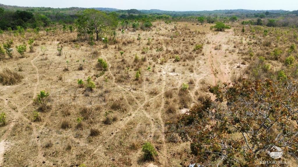 Fazenda à venda com 1 quarto, 15900000m² - Foto 13