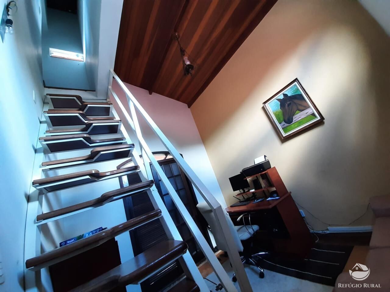 Sítio, 6639 m² - Foto 11