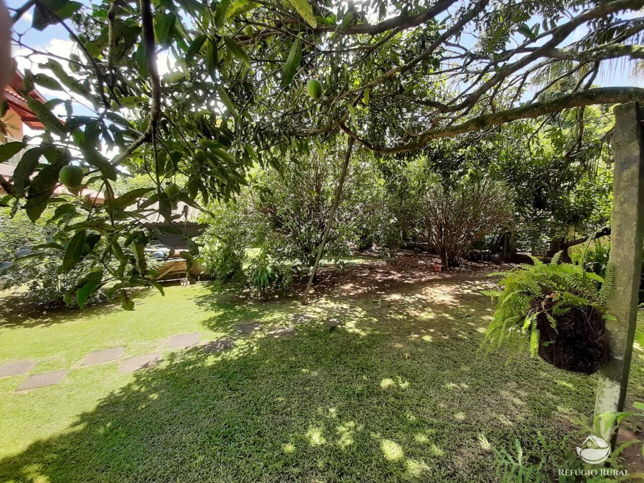 Sítio, 6639 m² - Foto 15