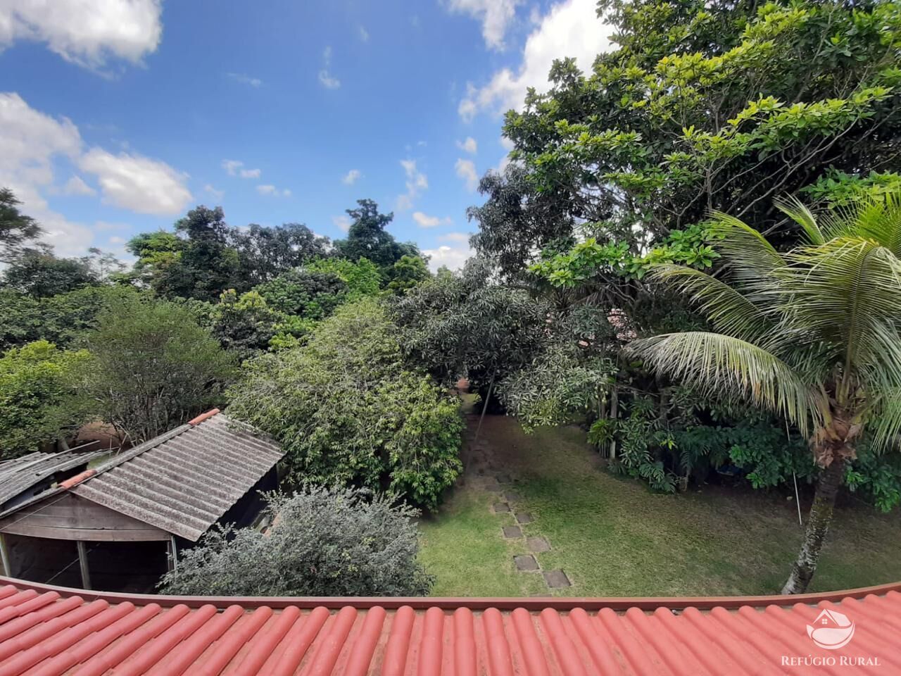 Sítio, 6639 m² - Foto 6