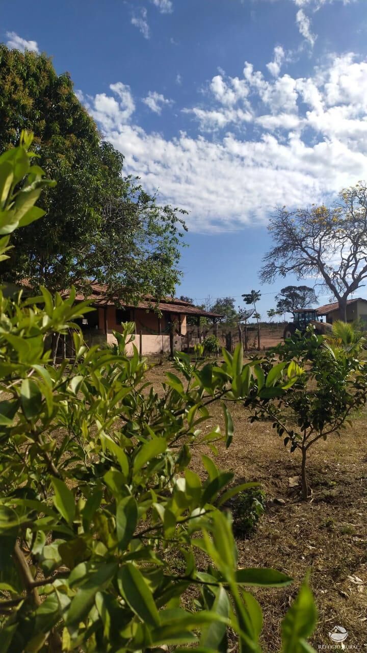 Fazenda à venda com 2 quartos, 4888400m² - Foto 2