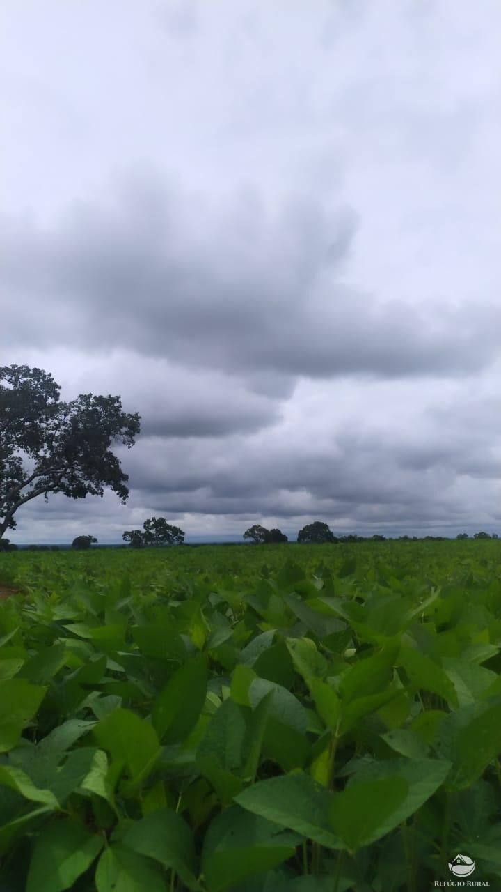 Fazenda à venda com 2 quartos, 4888400m² - Foto 9