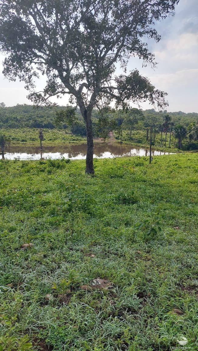 Fazenda à venda com 2 quartos, 4888400m² - Foto 11