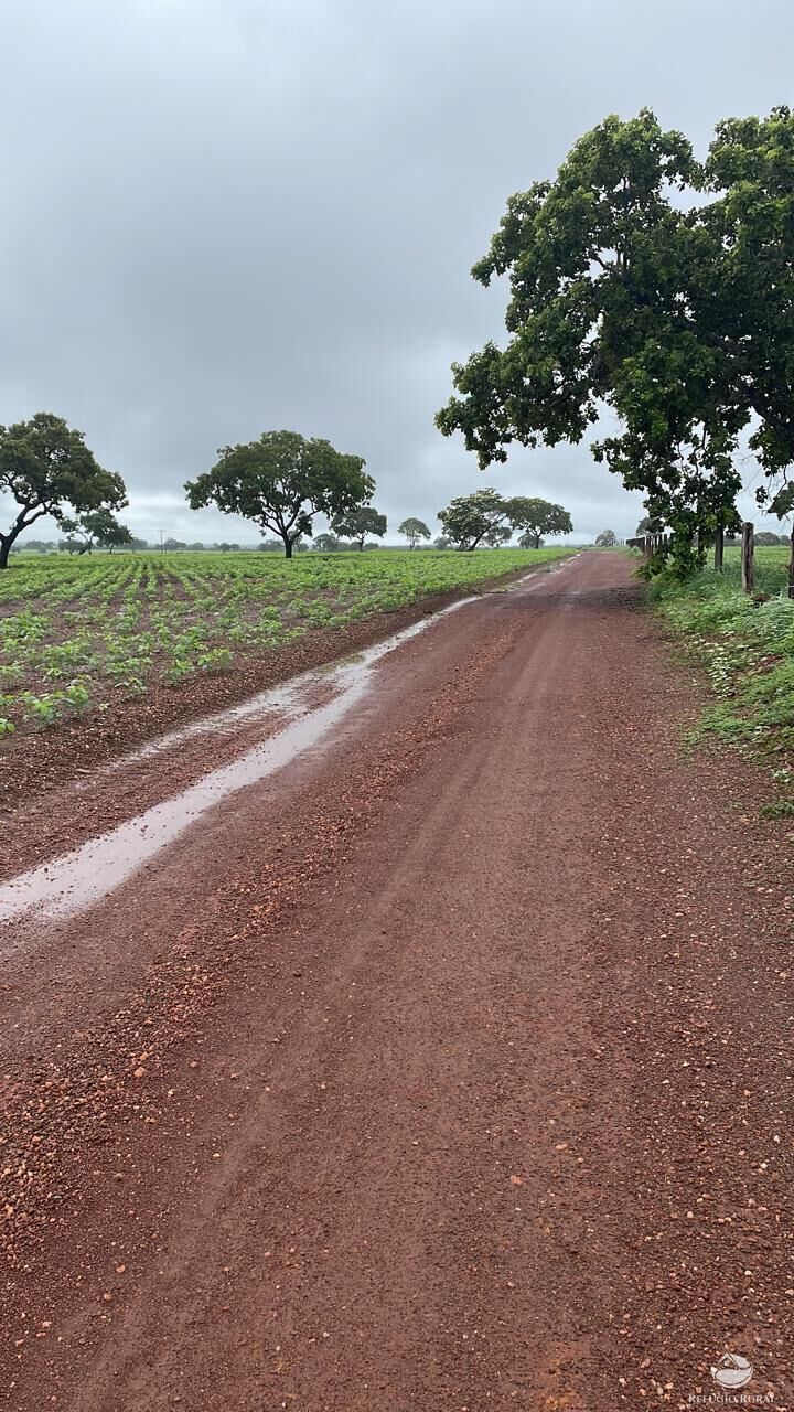 Fazenda à venda com 2 quartos, 4888400m² - Foto 10