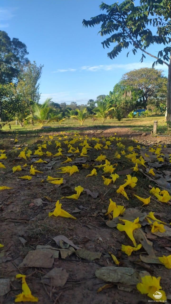 Fazenda à venda com 2 quartos, 4888400m² - Foto 5