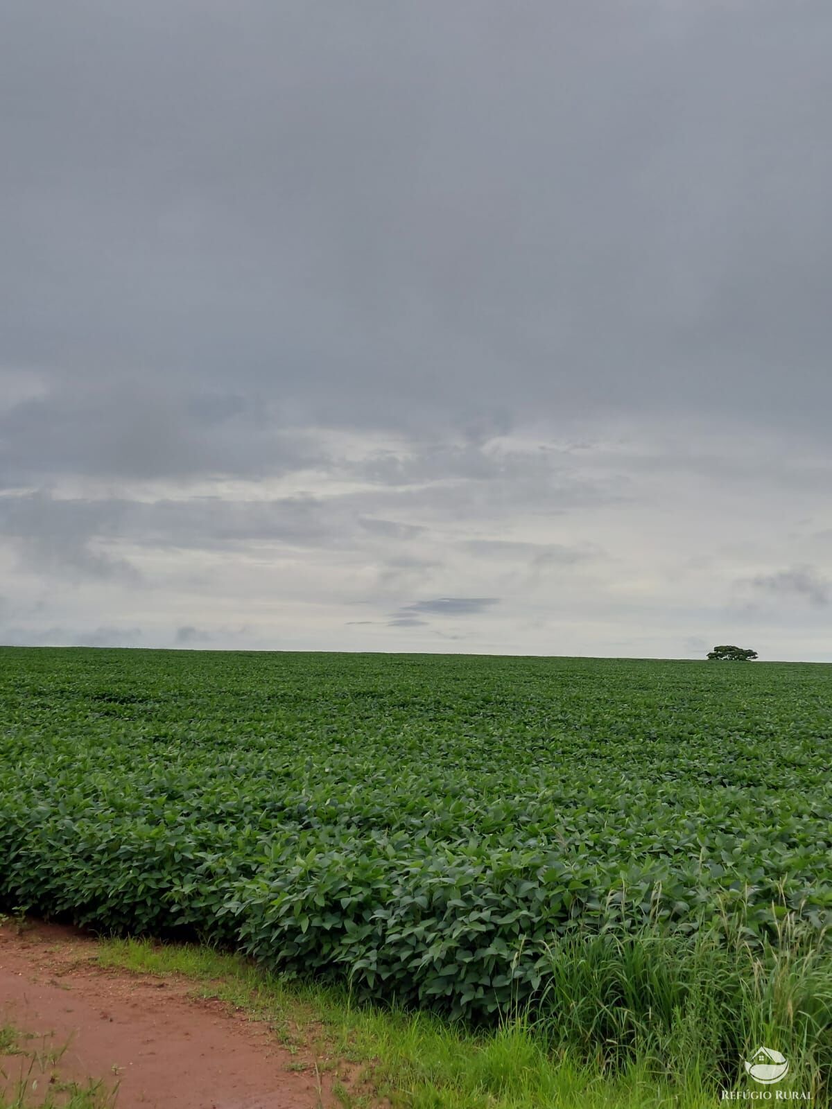 Fazenda à venda com 2 quartos, 4888400m² - Foto 4