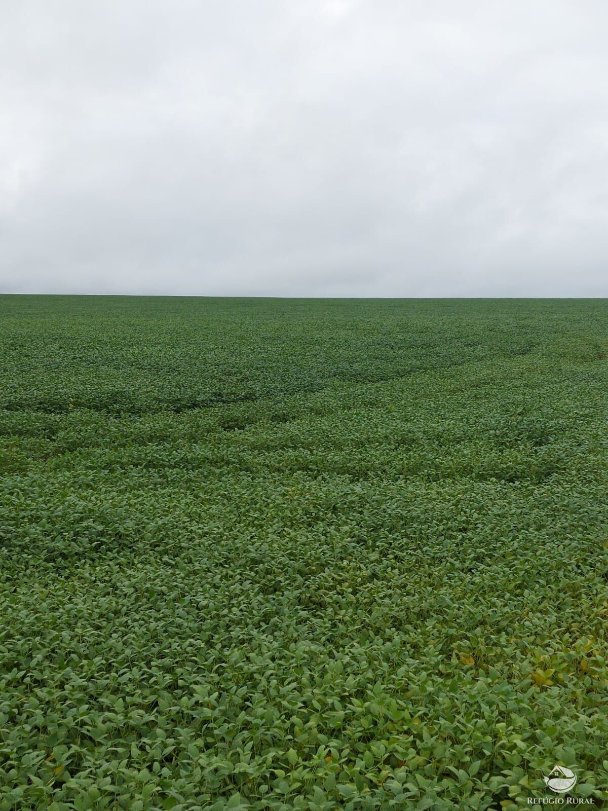 Fazenda à venda com 2 quartos, 4888400m² - Foto 1