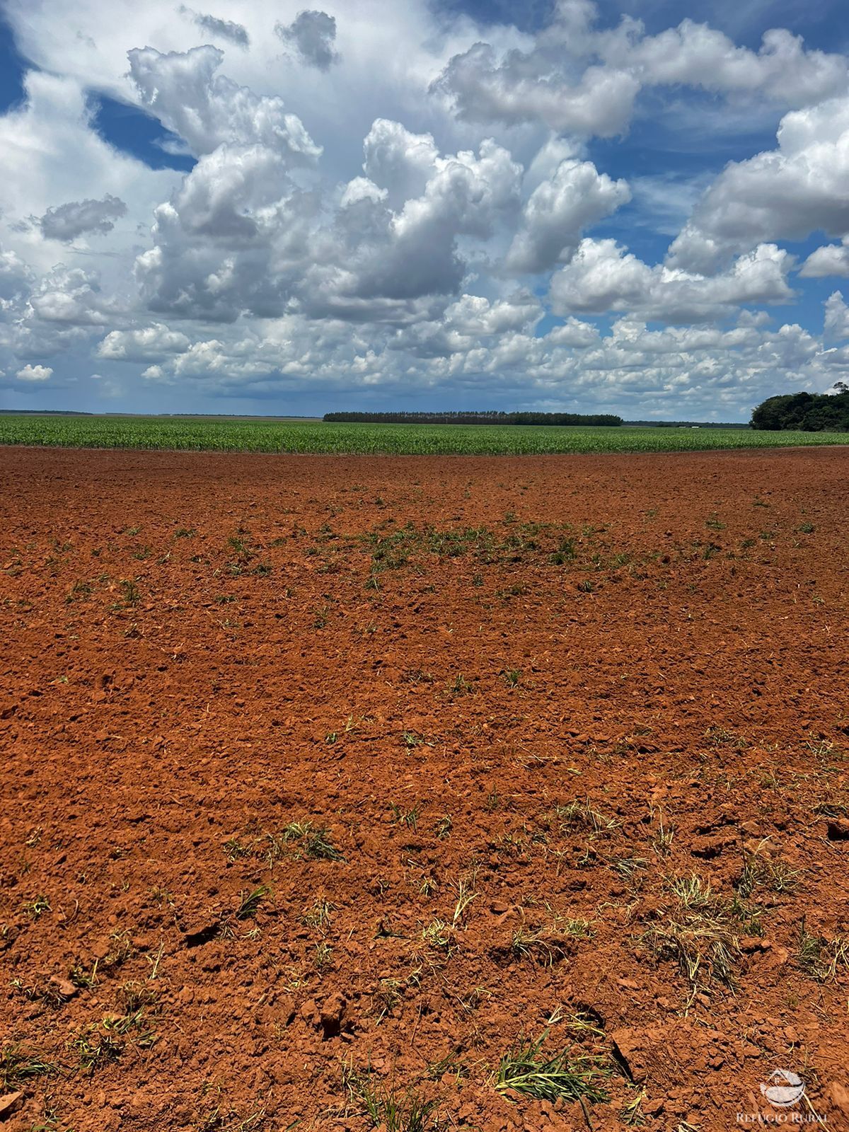 Fazenda à venda com 2 quartos, 52000000m² - Foto 2