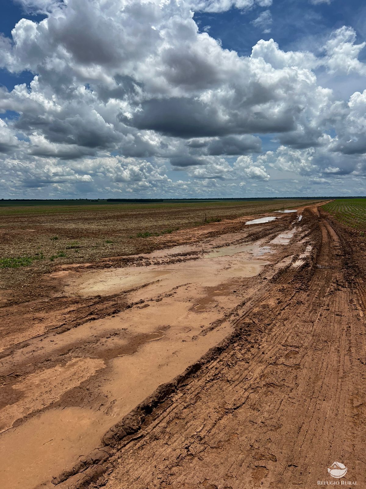 Fazenda à venda com 2 quartos, 52000000m² - Foto 7