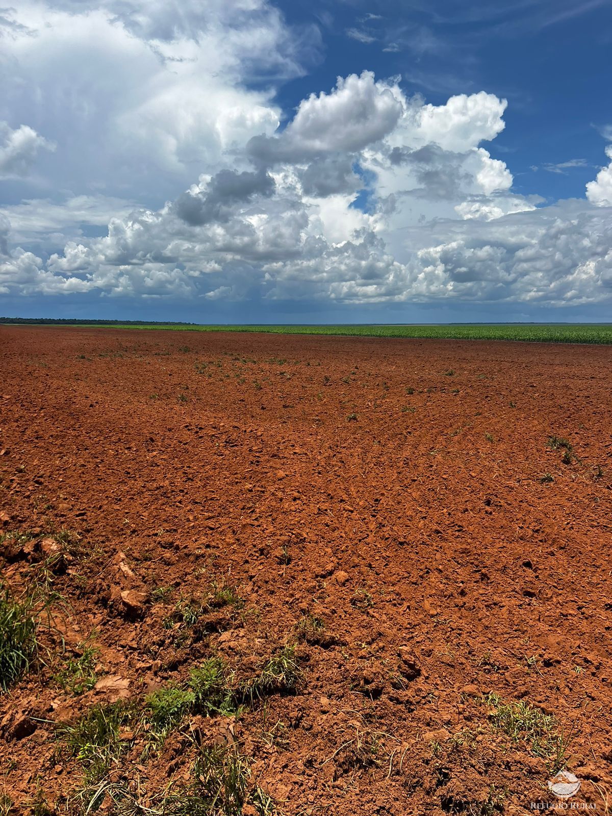 Fazenda à venda com 2 quartos, 52000000m² - Foto 3