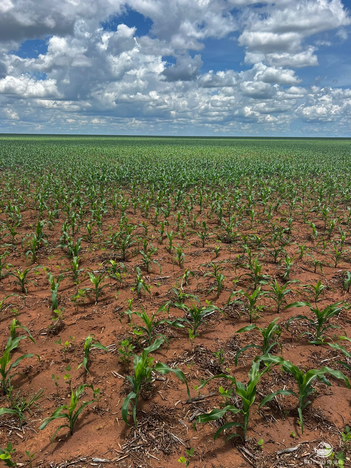 Fazenda à venda com 2 quartos, 52000000m² - Foto 1