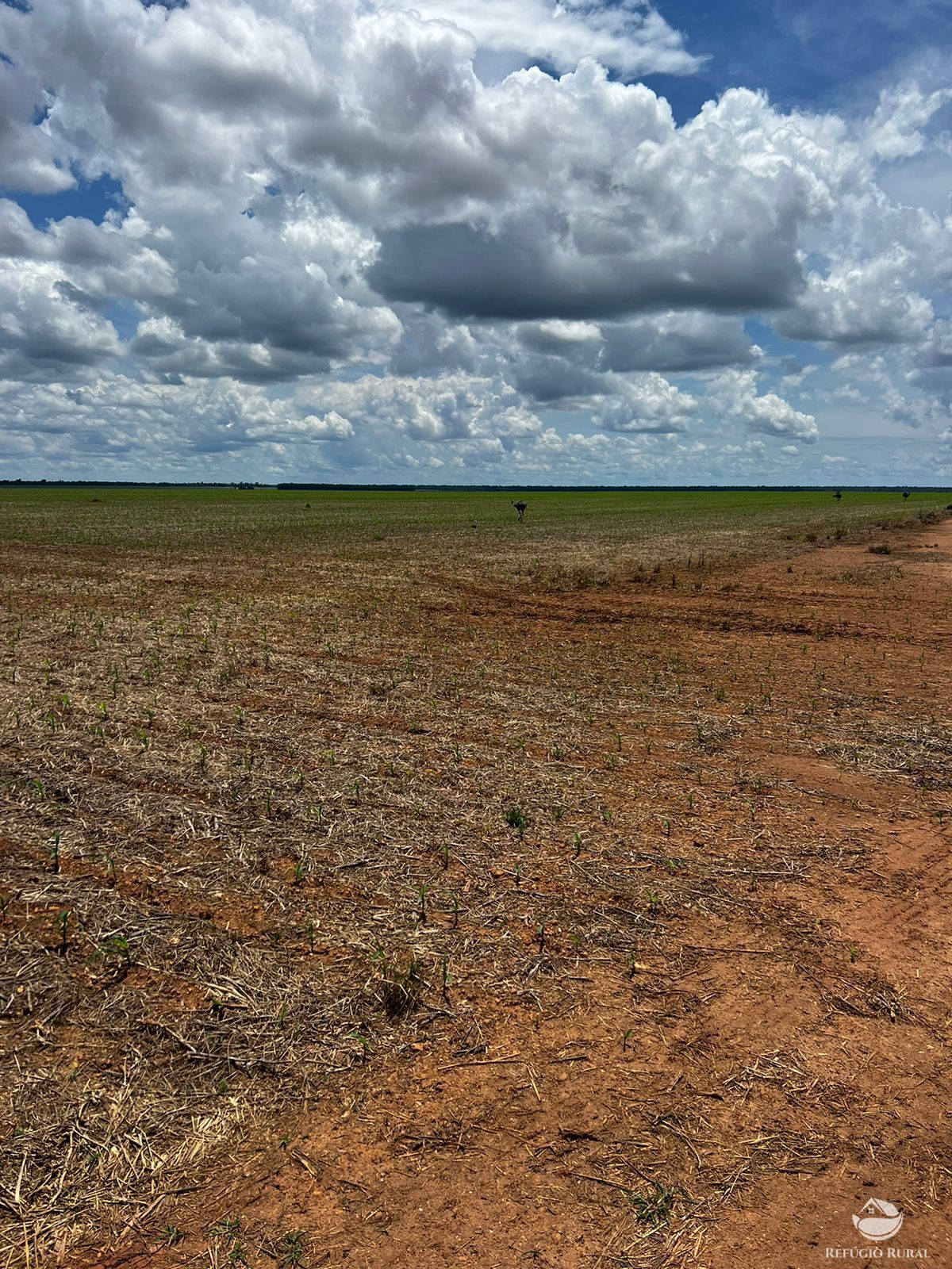 Fazenda à venda com 2 quartos, 52000000m² - Foto 6