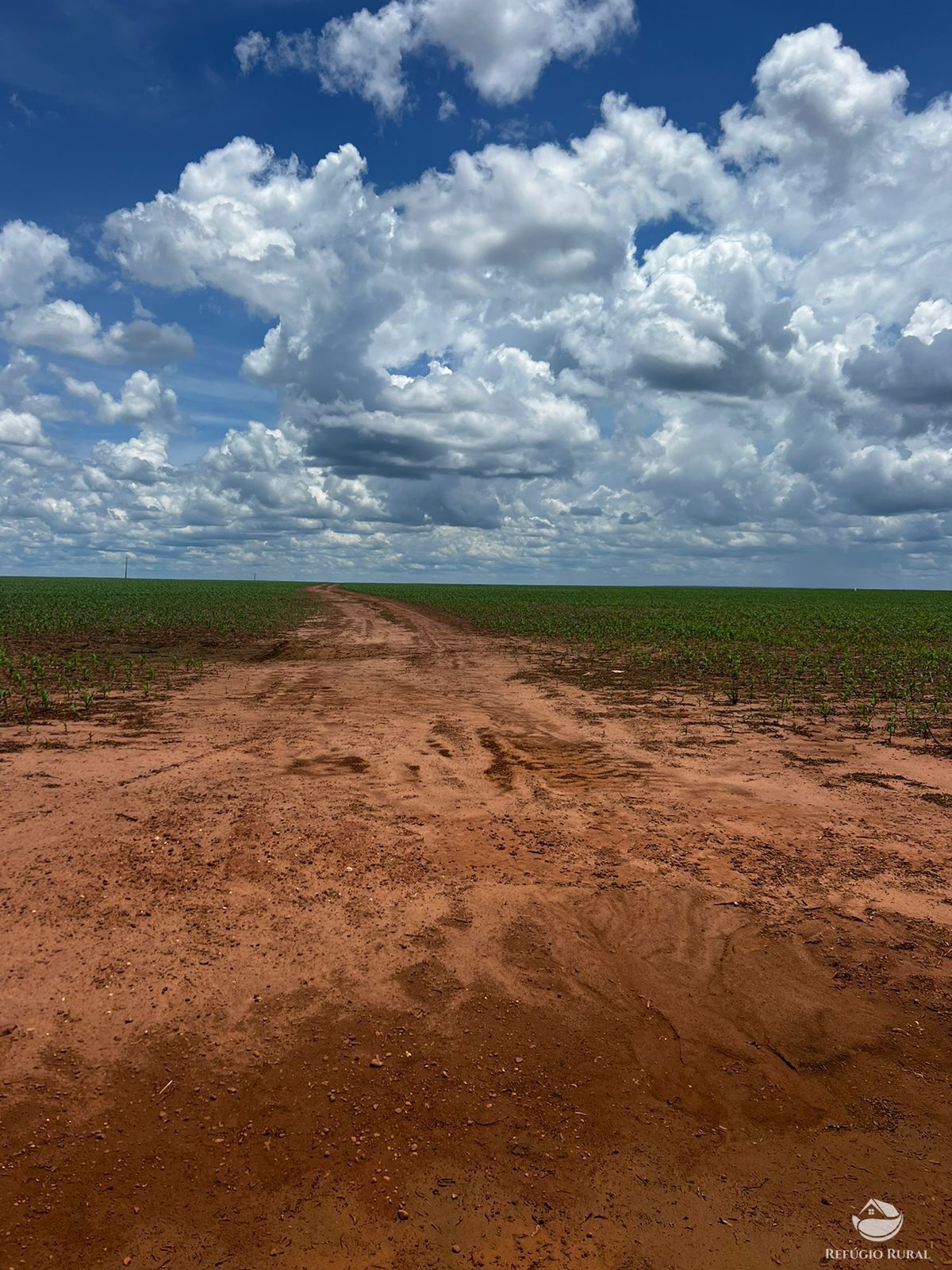 Fazenda à venda com 2 quartos, 52000000m² - Foto 9