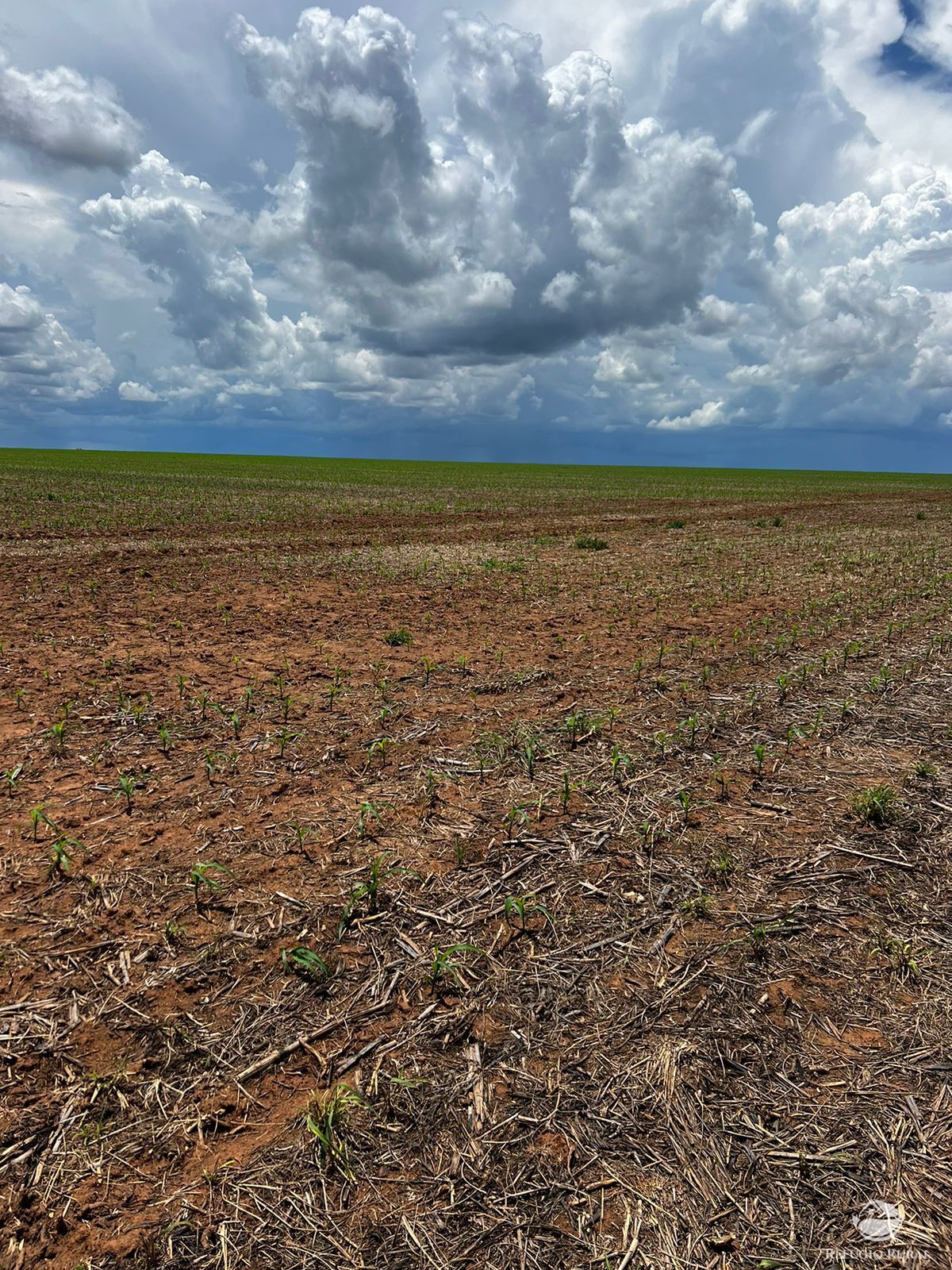 Fazenda à venda com 2 quartos, 52000000m² - Foto 4