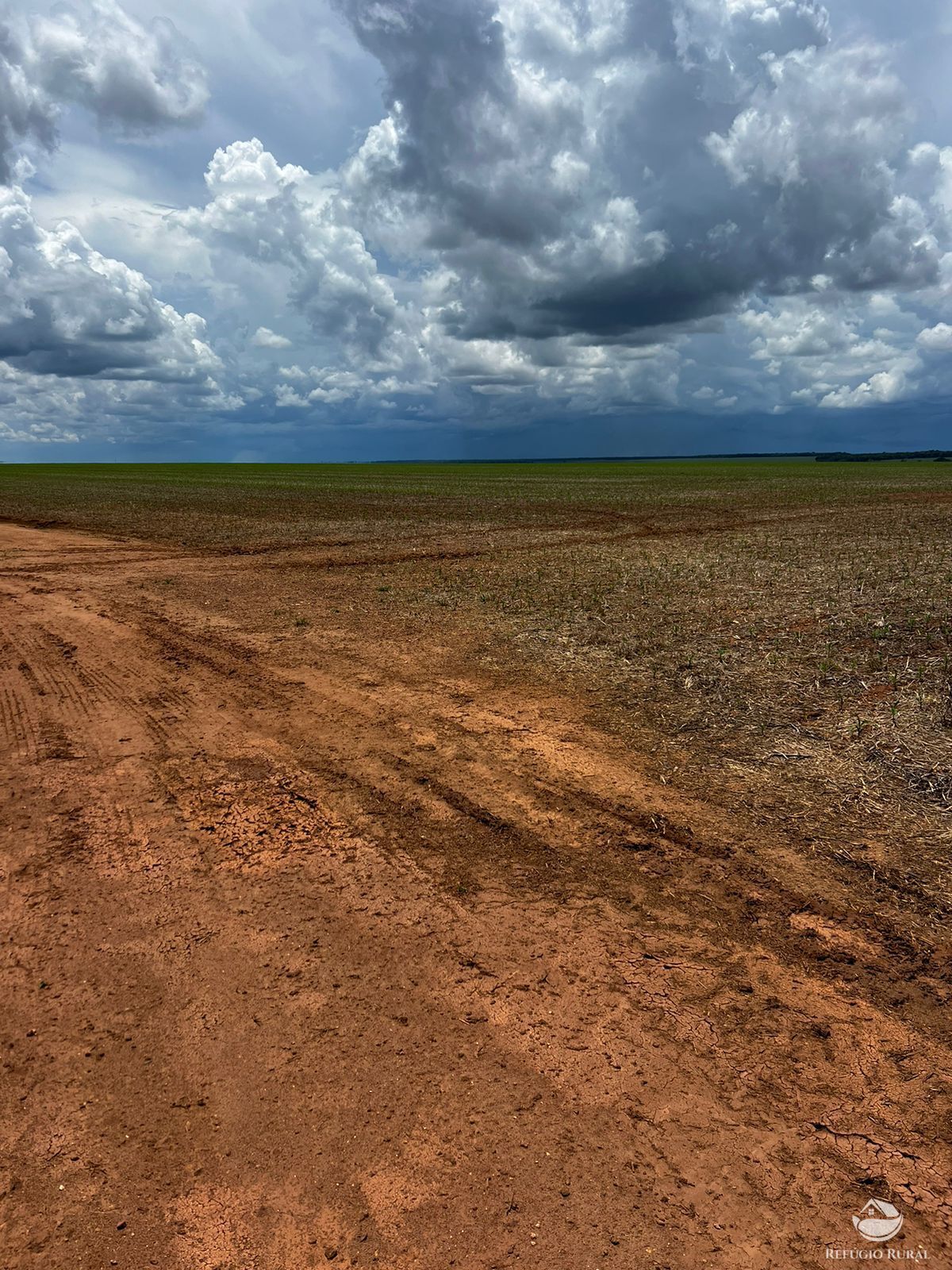 Fazenda à venda com 2 quartos, 52000000m² - Foto 5