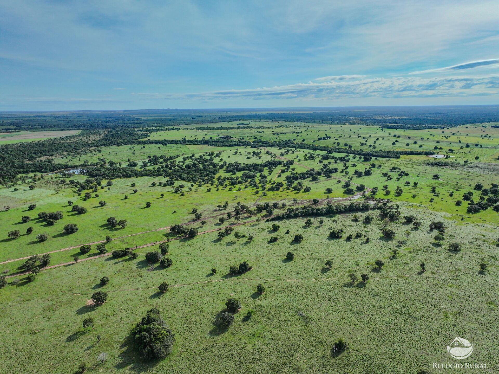 Fazenda em Ribas do Rio Pardo/Mato Grosso do Sul — Ref Q82NR9 — Imagem 6