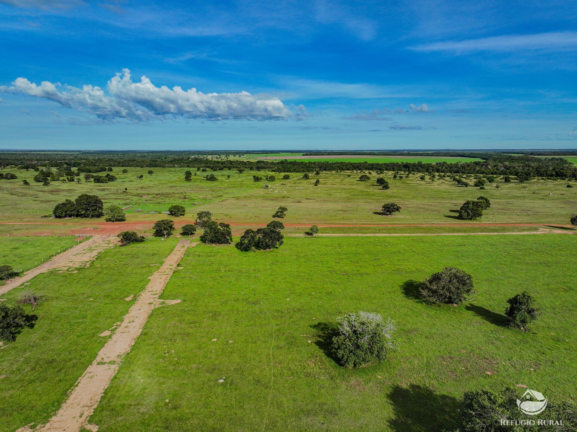 Fazenda em Ribas do Rio Pardo/Mato Grosso do Sul — Ref Q82NR9 — Imagem 7