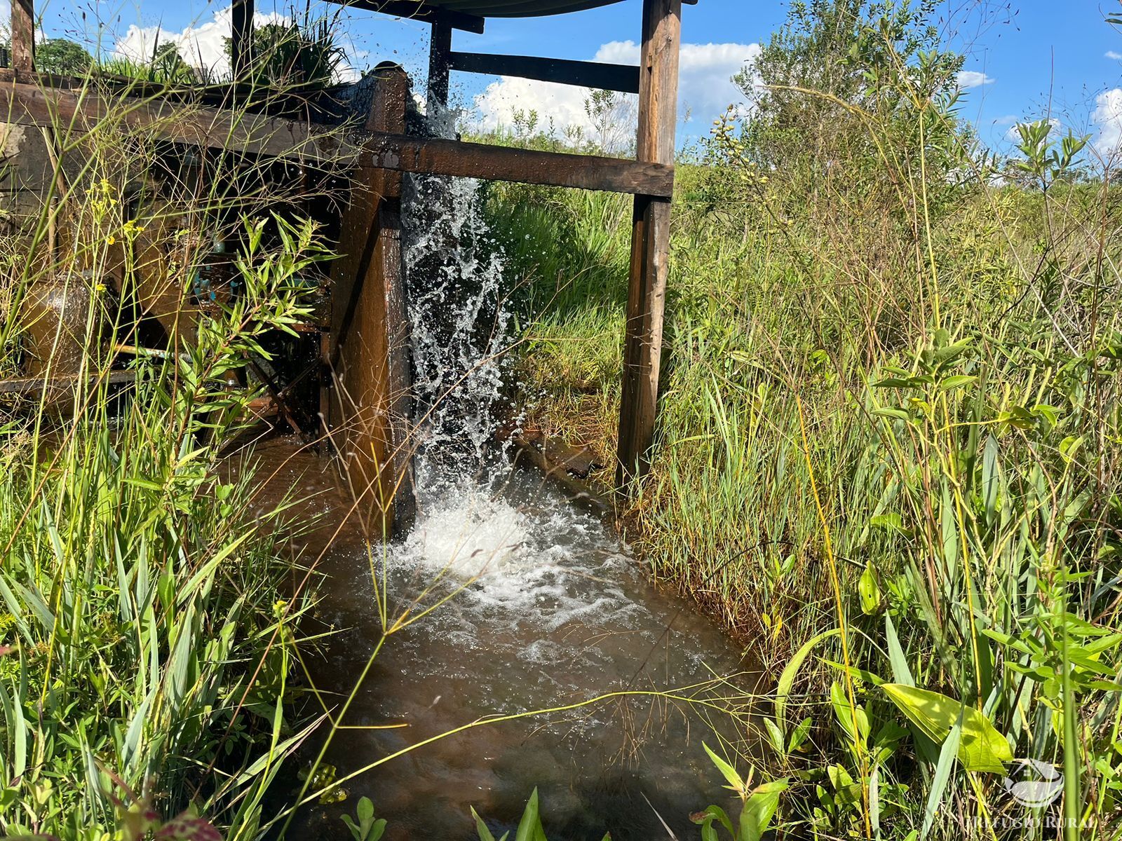 Fazenda em Ribas do Rio Pardo/Mato Grosso do Sul — Ref Q82NR9 — Imagem 21