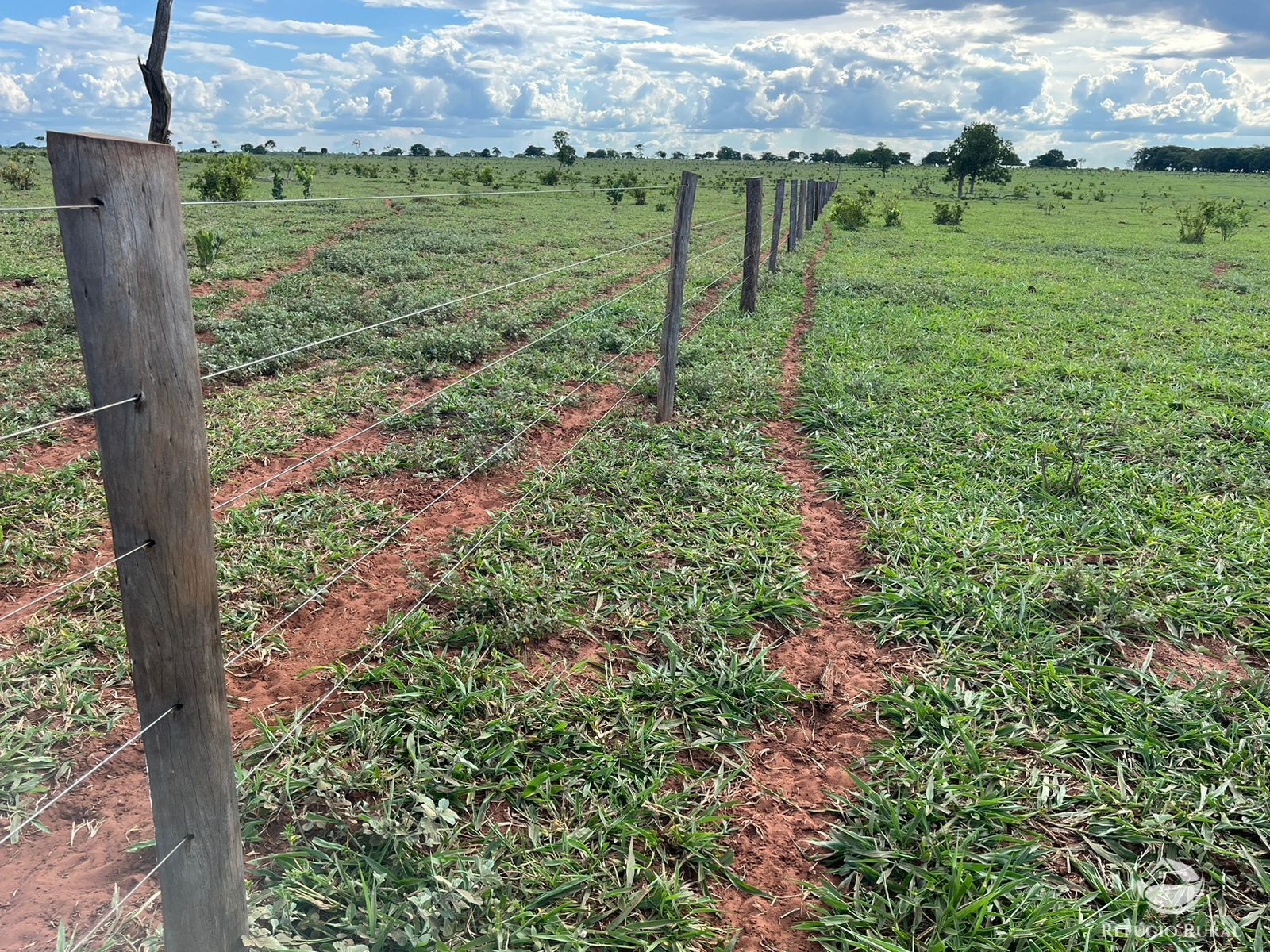 Fazenda em Ribas do Rio Pardo/Mato Grosso do Sul — Ref Q82NR9 — Imagem 18