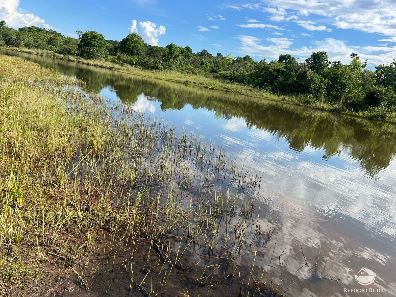 Fazenda em Ribas do Rio Pardo/Mato Grosso do Sul — Ref Q82NR9 — Imagem 20