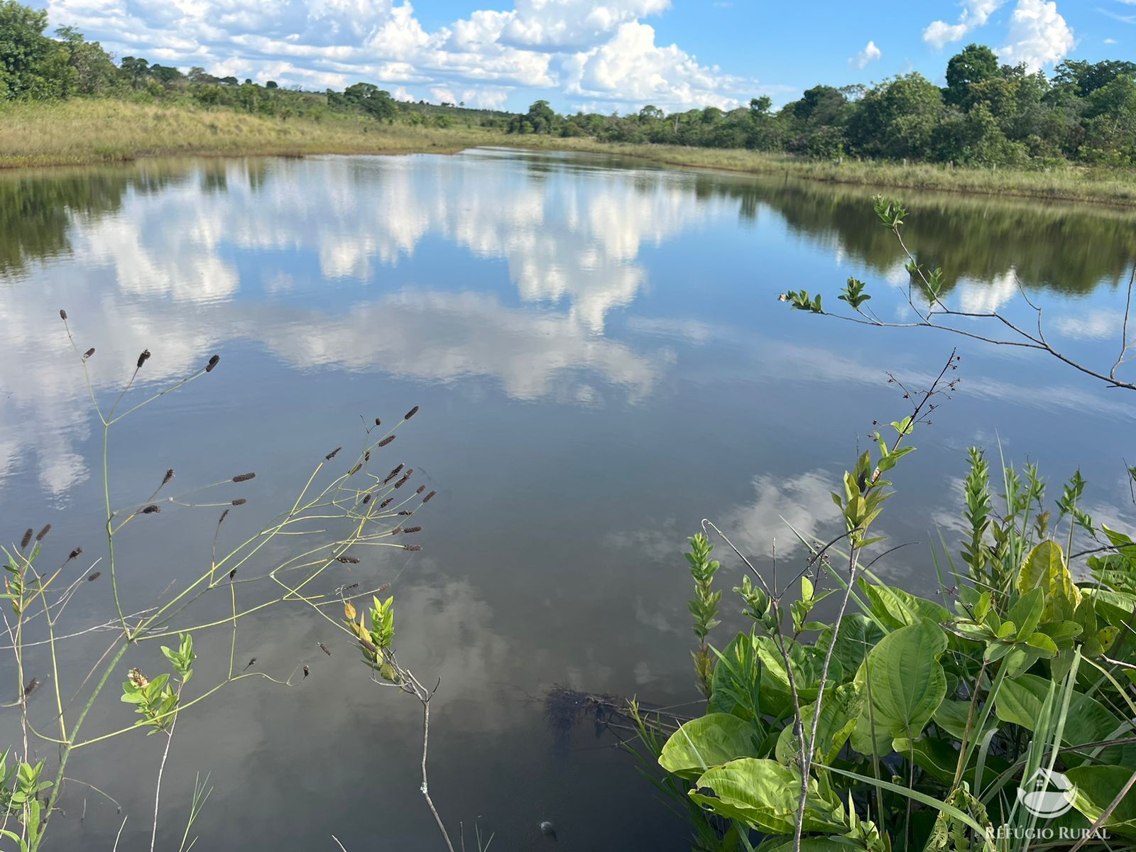 Fazenda em Ribas do Rio Pardo/Mato Grosso do Sul — Ref Q82NR9 — Imagem 19