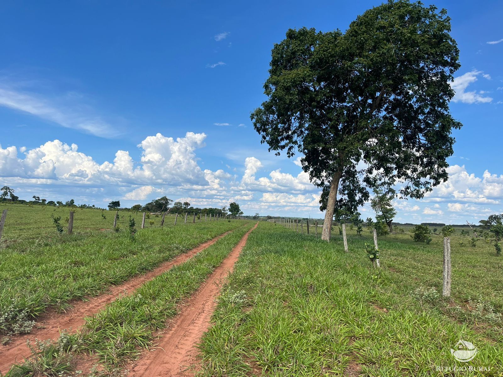 Fazenda em Ribas do Rio Pardo/Mato Grosso do Sul — Ref Q82NR9 — Imagem 15