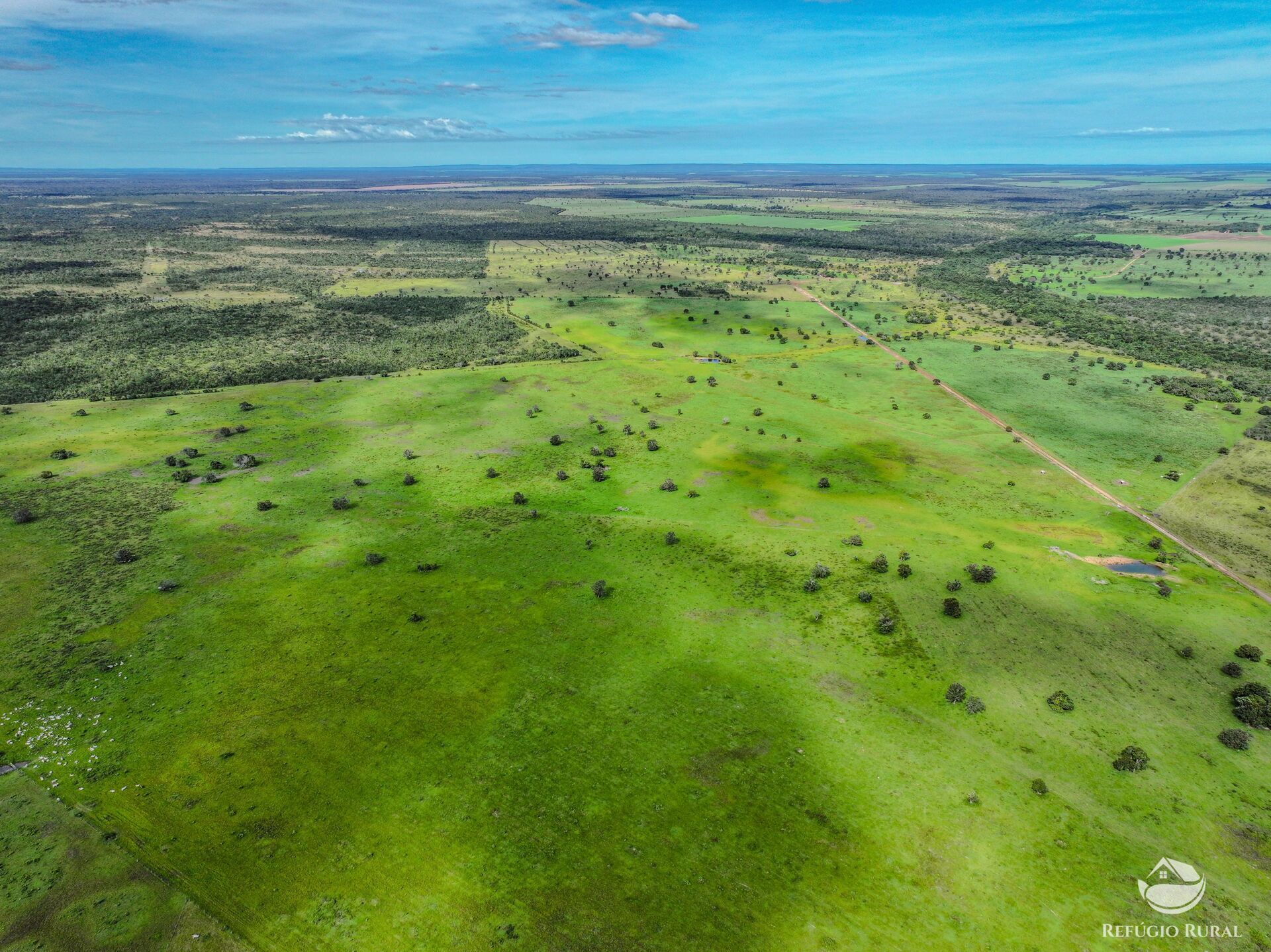 Fazenda em Ribas do Rio Pardo/Mato Grosso do Sul — Ref Q82NR9 — Imagem 8