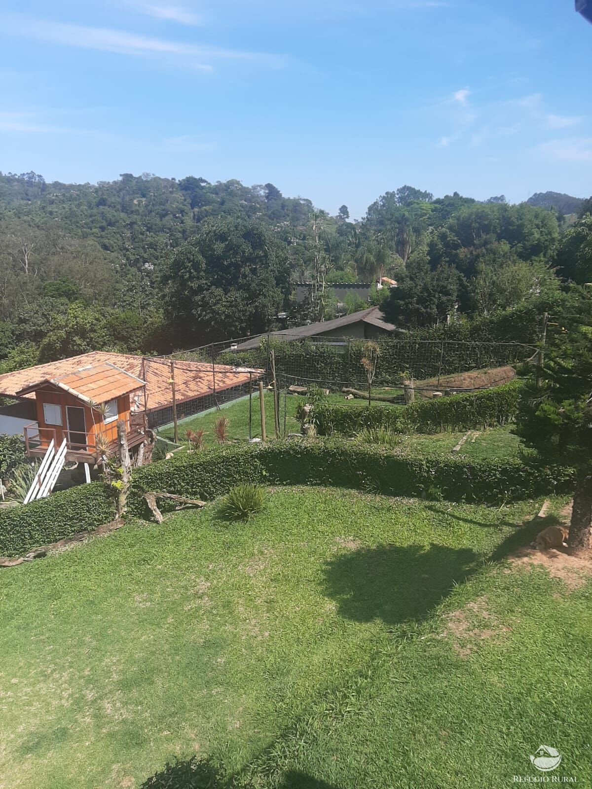 Fazenda à venda com 4 quartos, 5000m² - Foto 25