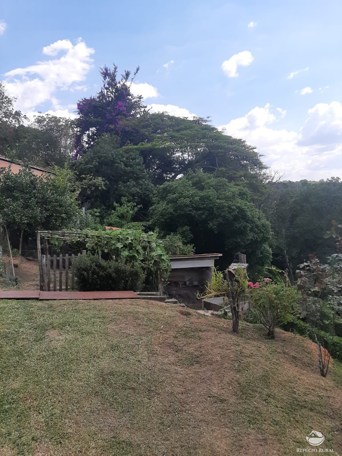 Fazenda à venda com 4 quartos, 5000m² - Foto 11