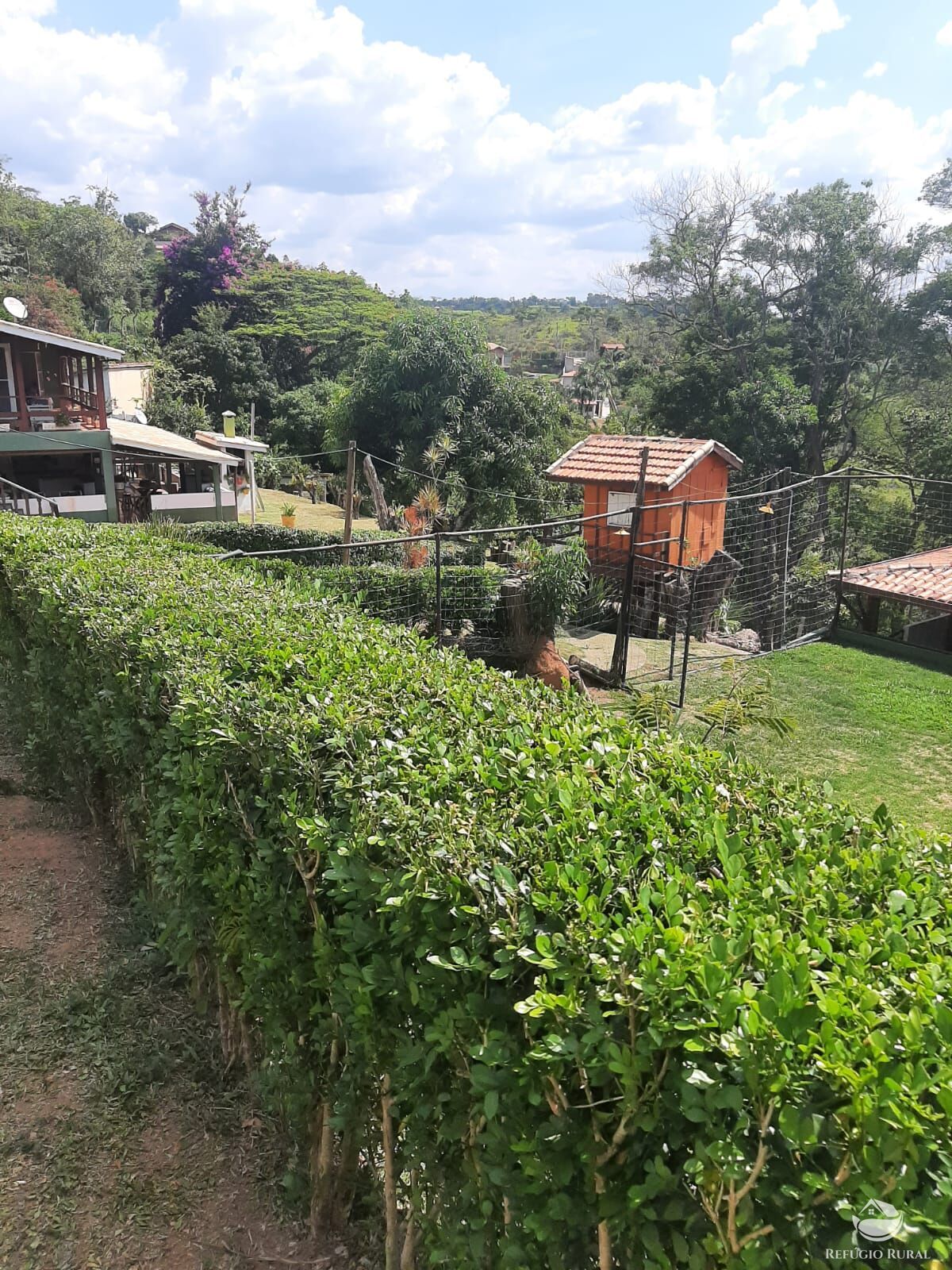 Fazenda à venda com 4 quartos, 5000m² - Foto 5