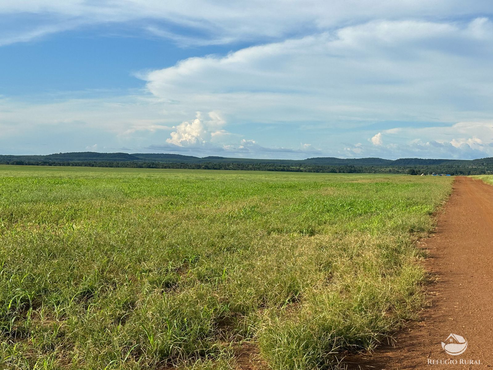 Fazenda à venda com 1 quarto, 14036000m² - Foto 15