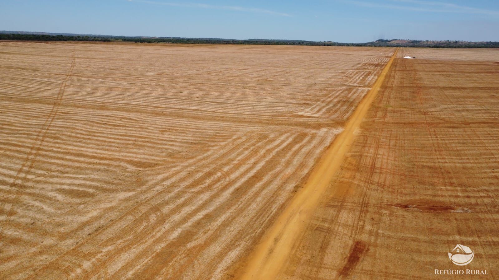 Fazenda à venda com 1 quarto, 14036000m² - Foto 13