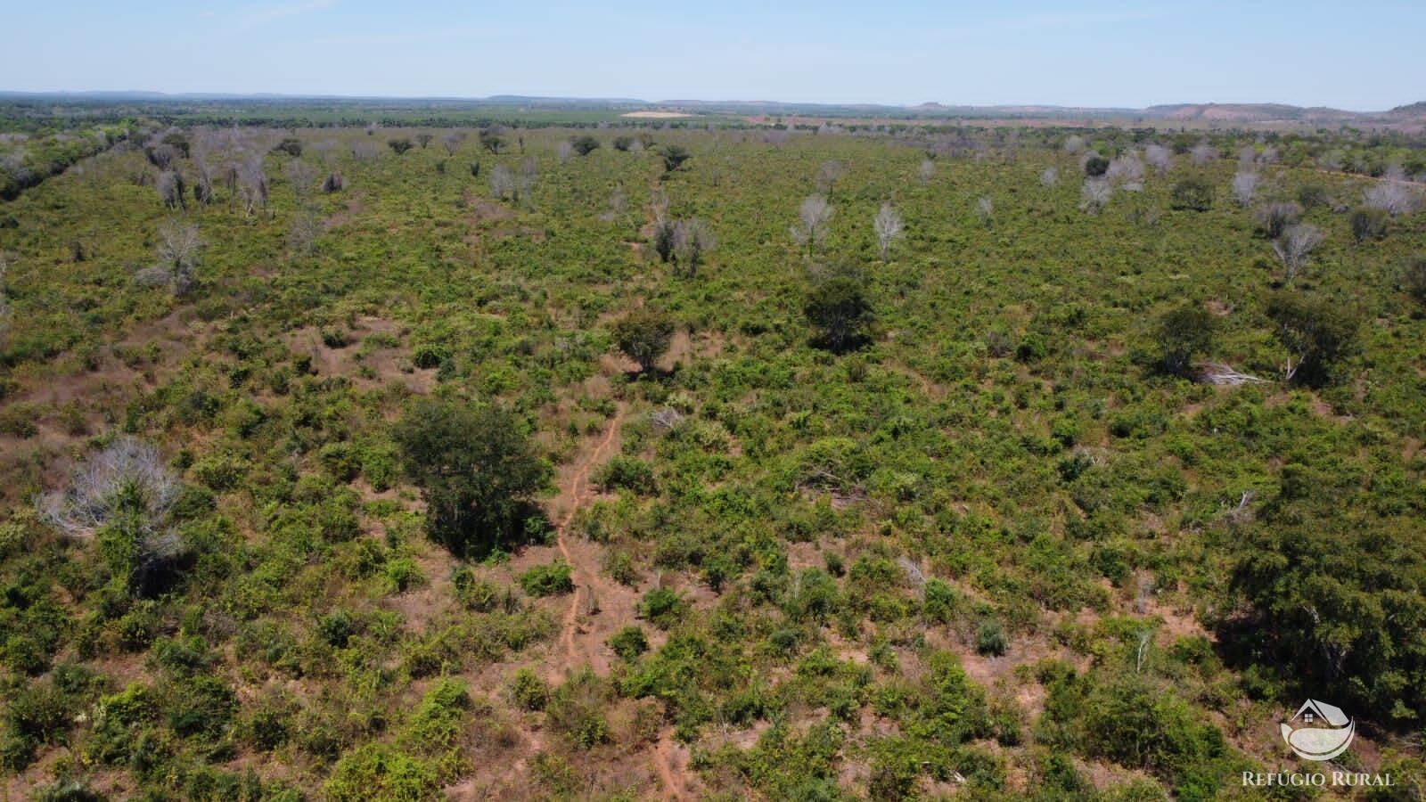 Fazenda à venda com 1 quarto, 14036000m² - Foto 6