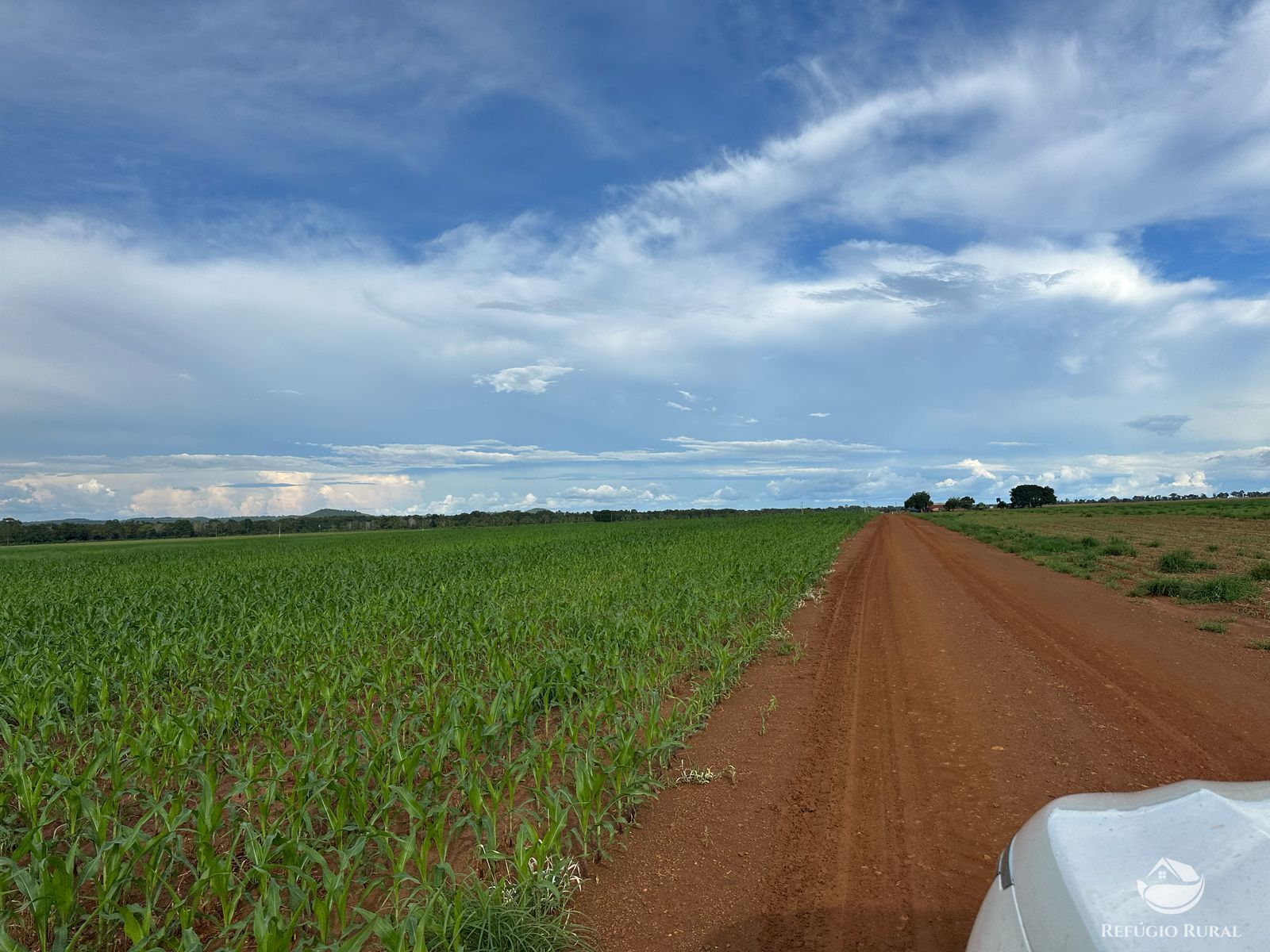 Fazenda à venda com 1 quarto, 14036000m² - Foto 9