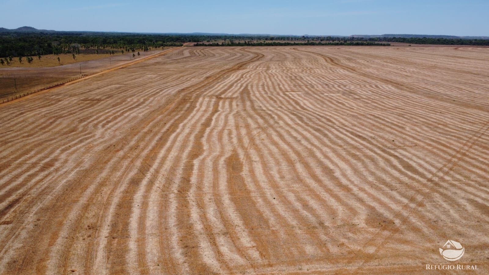 Fazenda à venda com 1 quarto, 14036000m² - Foto 8