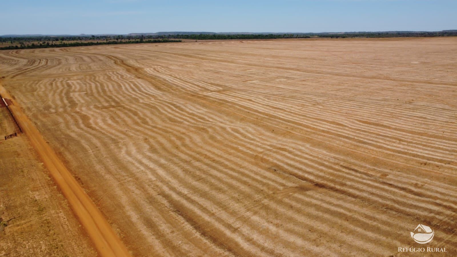 Fazenda à venda com 1 quarto, 14036000m² - Foto 17
