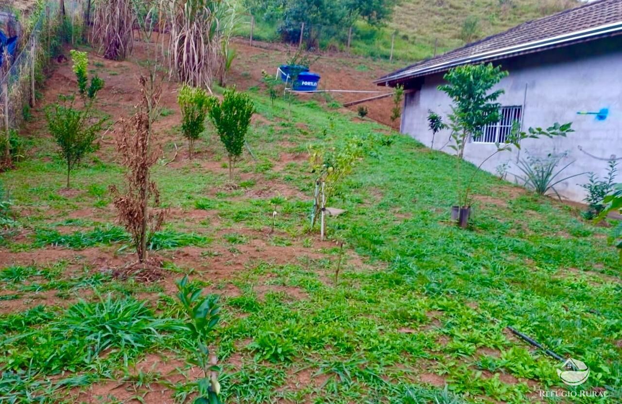 Chácara à venda com 2 quartos, 11000m² - Foto 6