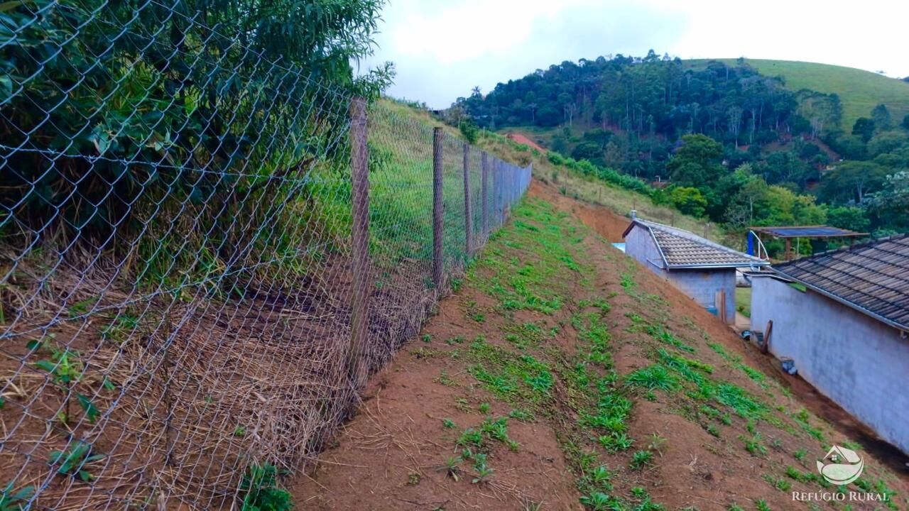 Chácara à venda com 2 quartos, 11000m² - Foto 28