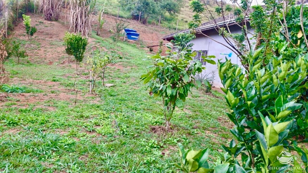 Chácara à venda com 2 quartos, 11000m² - Foto 8