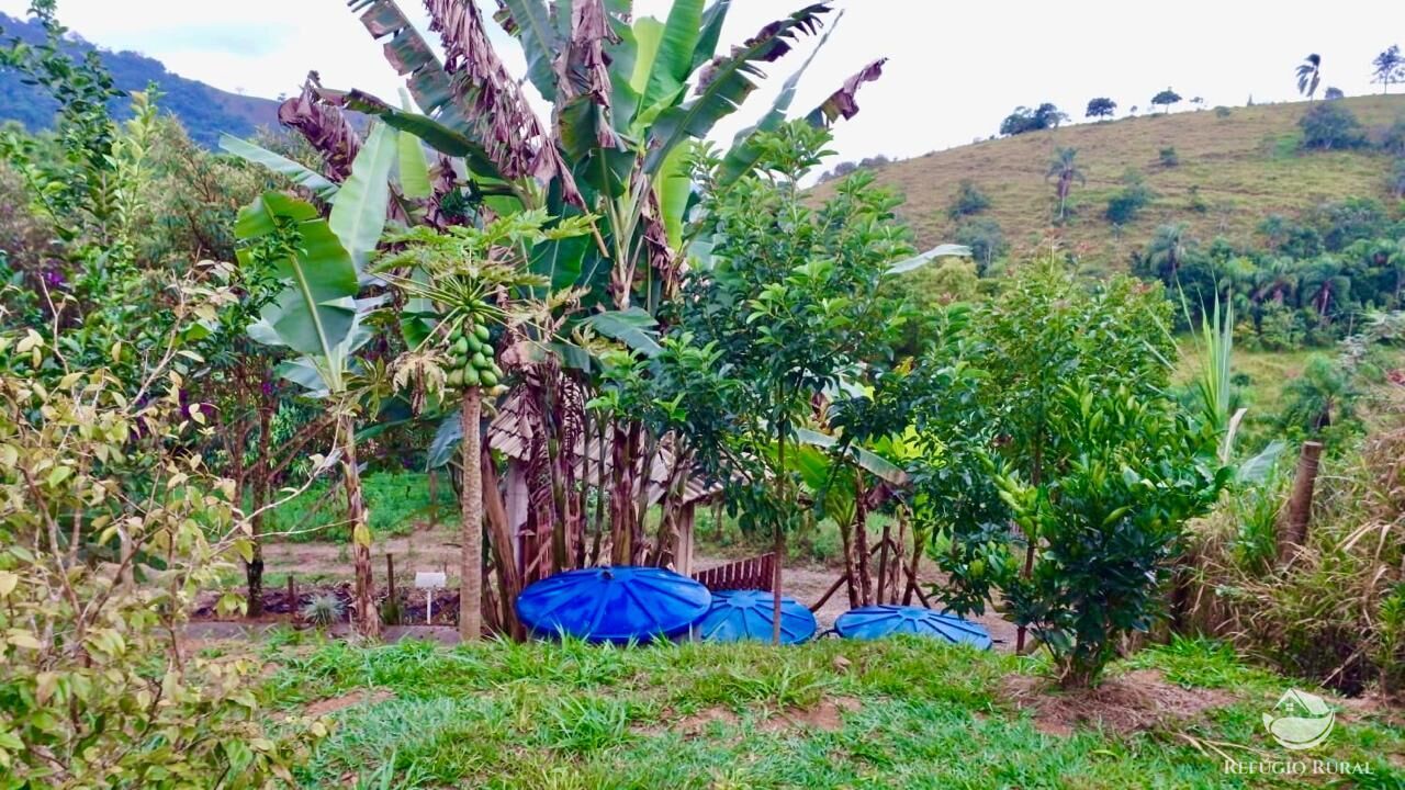 Chácara à venda com 2 quartos, 11000m² - Foto 13