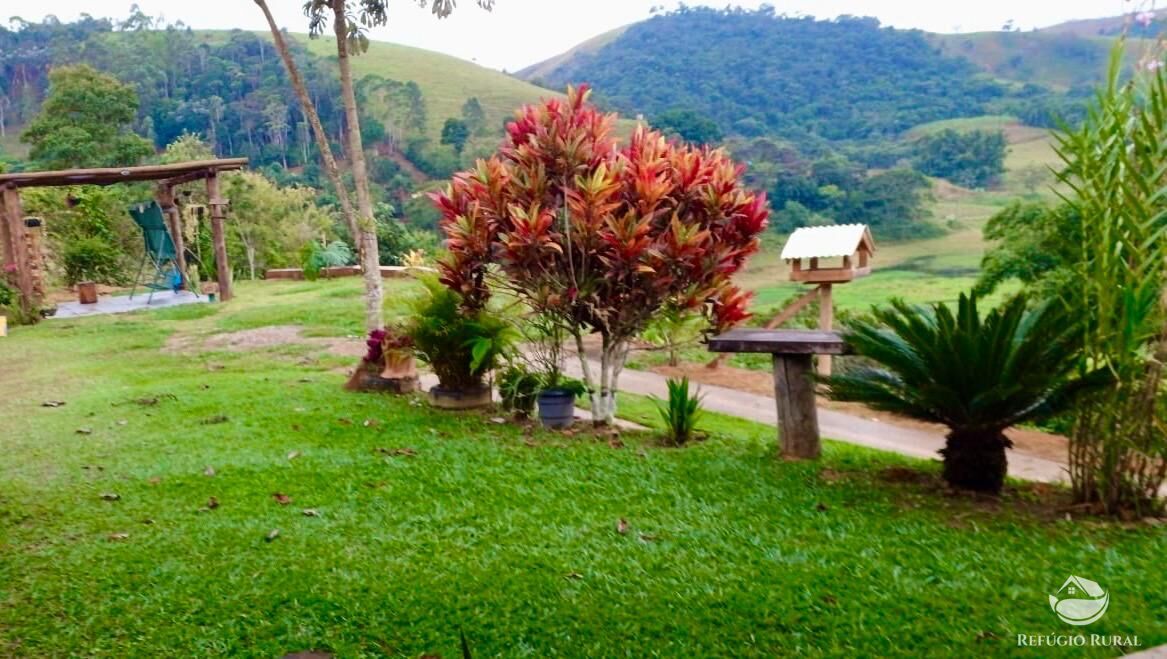 Chácara à venda com 2 quartos, 11000m² - Foto 3