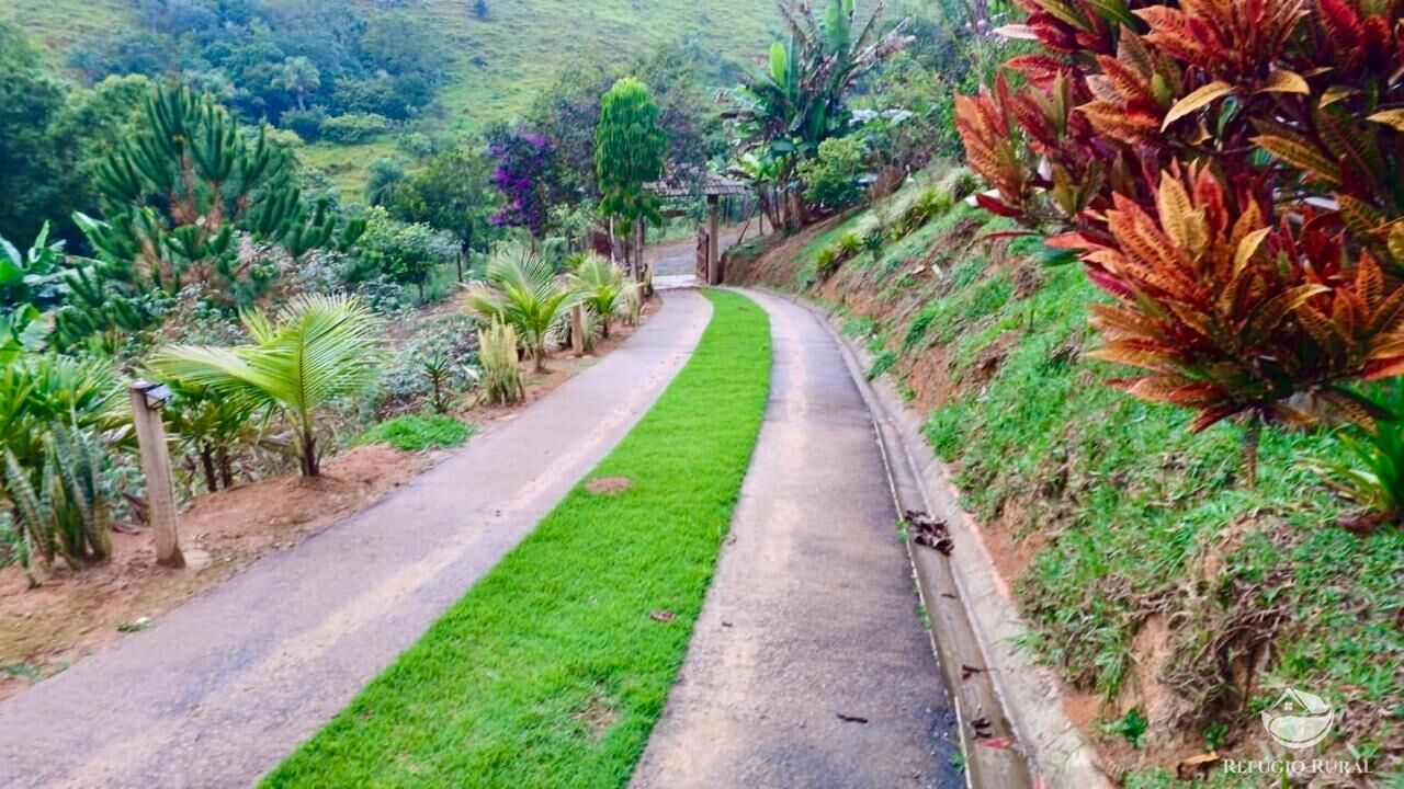 Chácara à venda com 2 quartos, 11000m² - Foto 25