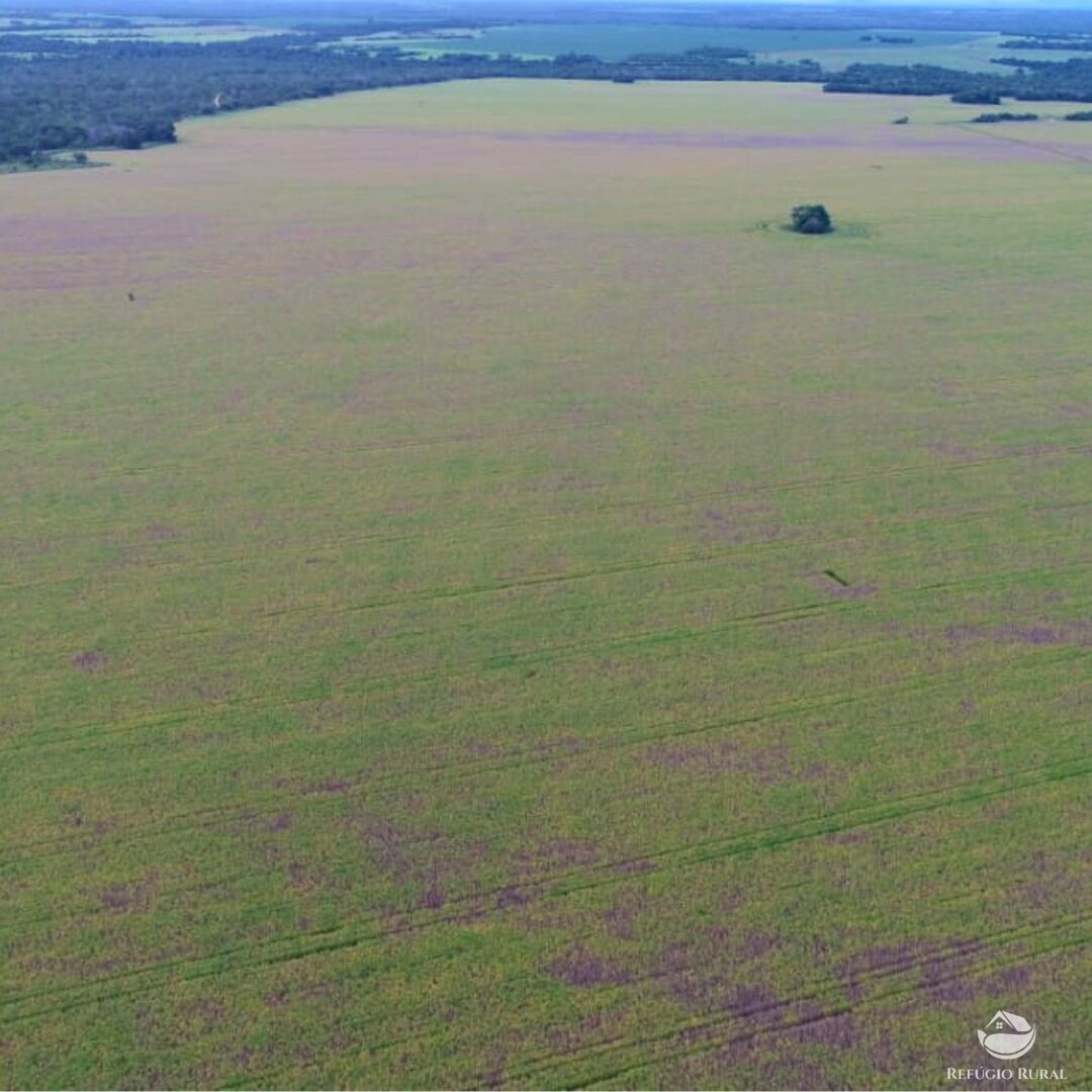 Fazenda à venda com 1 quarto, 19989200m² - Foto 3