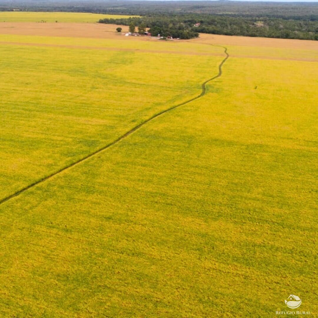 Fazenda à venda com 1 quarto, 19989200m² - Foto 1