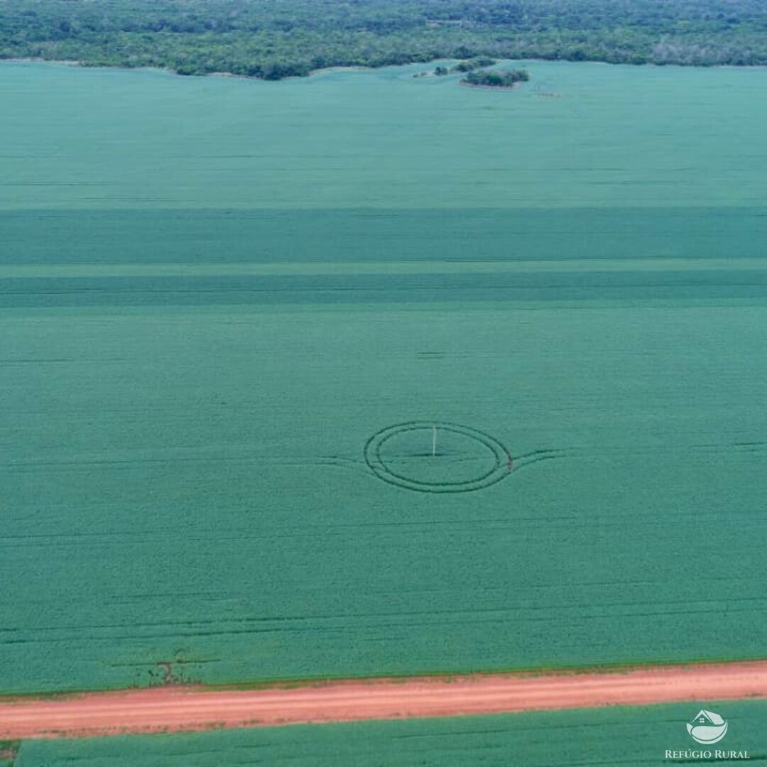 Fazenda à venda com 1 quarto, 19989200m² - Foto 4