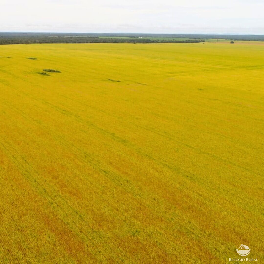 Fazenda à venda com 1 quarto, 19989200m² - Foto 6