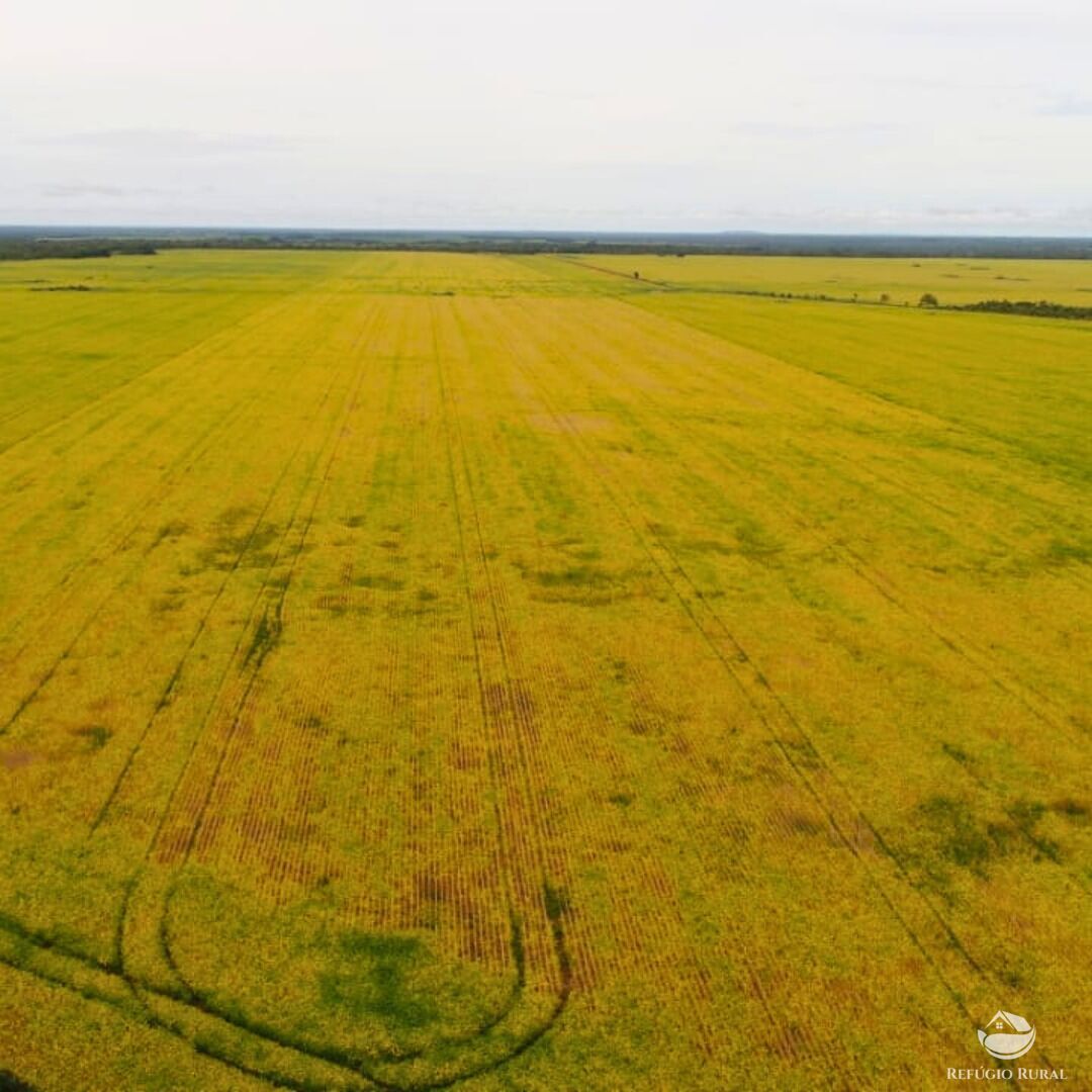 Fazenda à venda com 1 quarto, 19989200m² - Foto 7