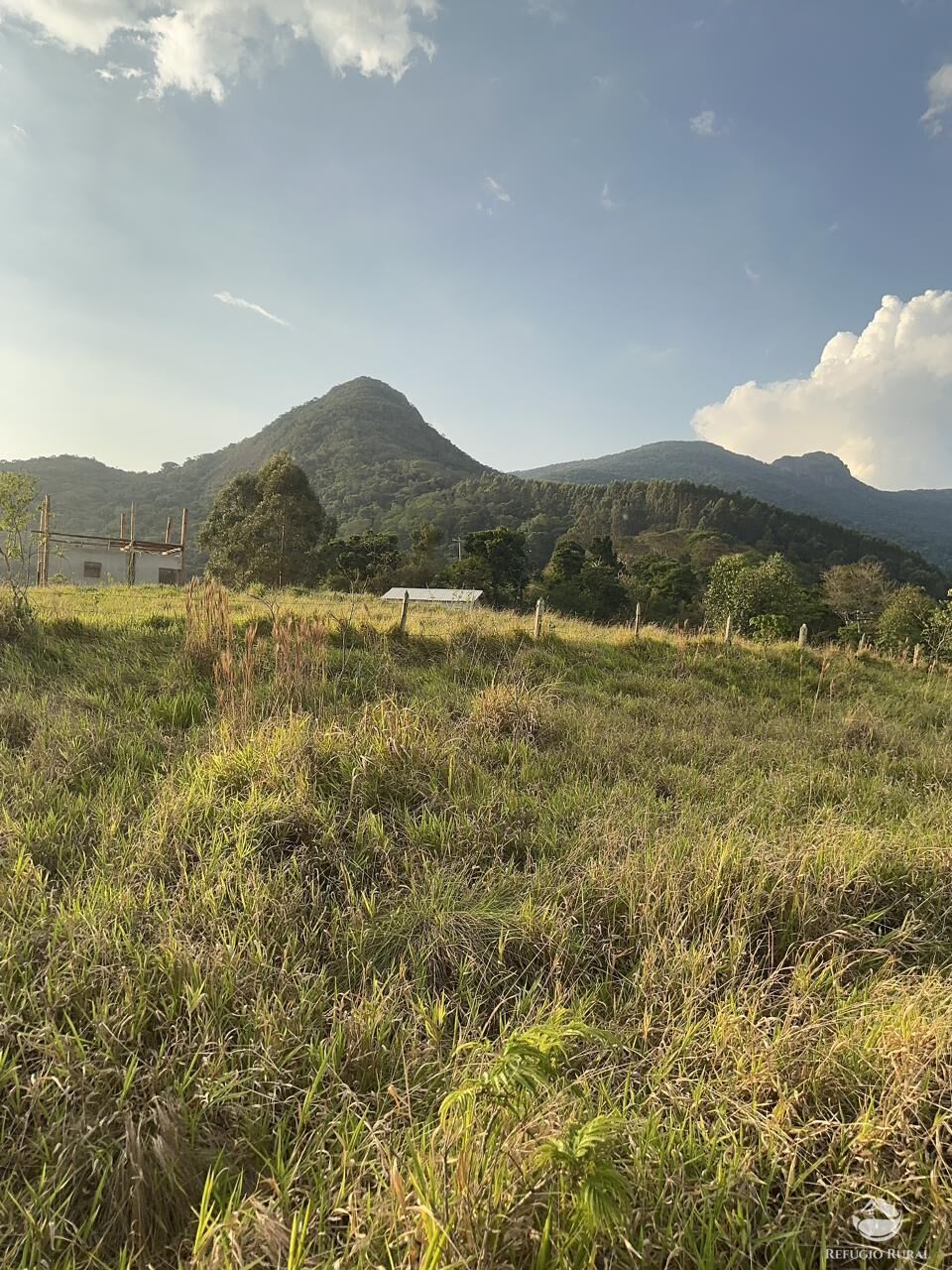 Terreno à venda, 20000m² - Foto 5