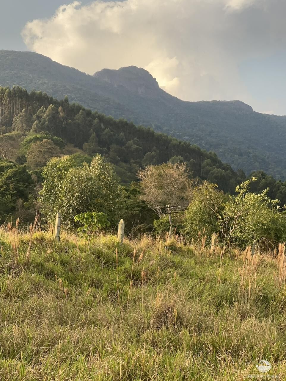 Terreno à venda, 20000m² - Foto 3